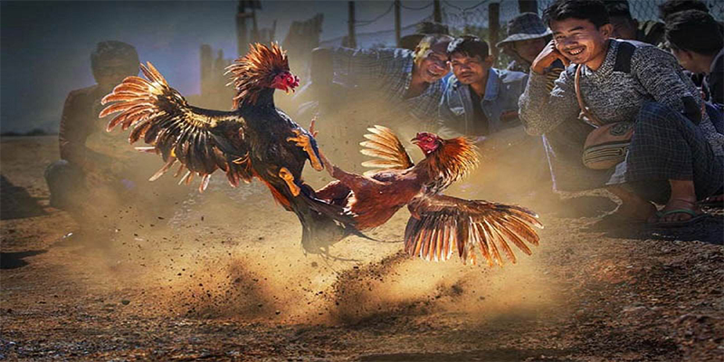 game 88 xổ số bữa nay