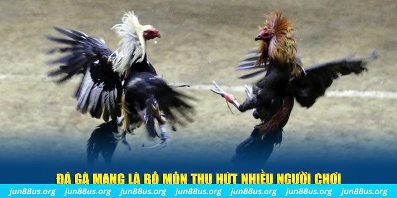 game 88 nổ hủ nghĩa là gì