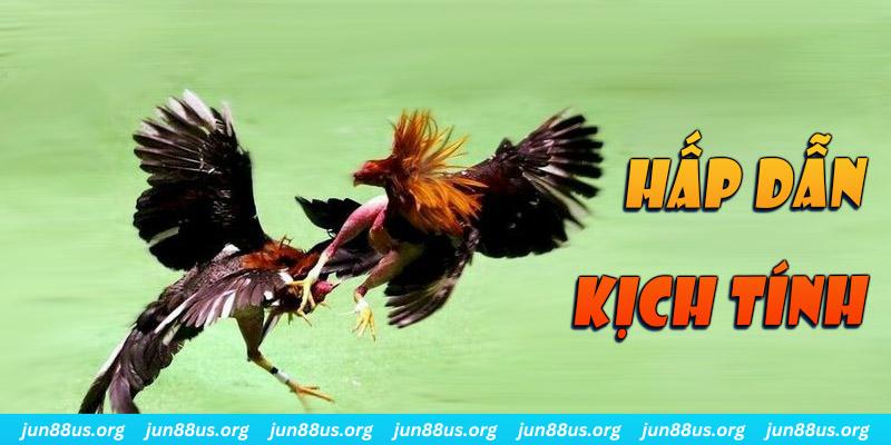 game 88 đăng nhập roulette online