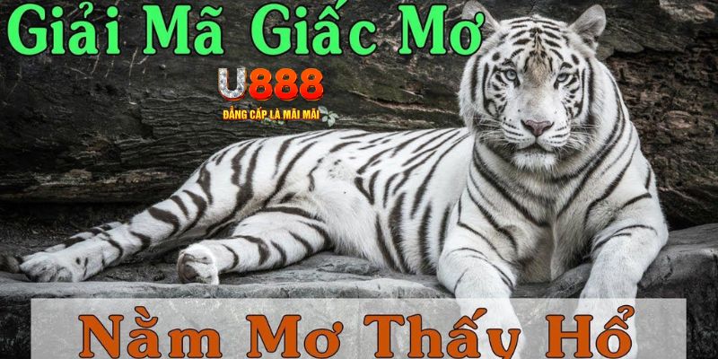 game 88 xổ số miền bắc xổ số miền bắc