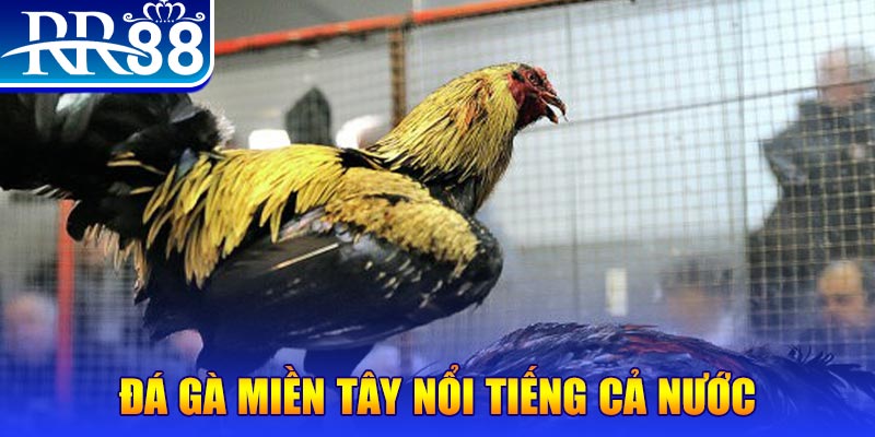 game 88 xổ số đại phát