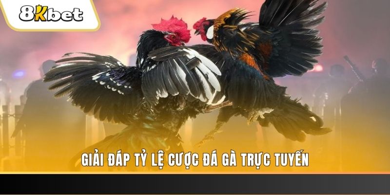 game 88 ga choi cau thanh