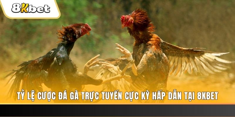 game 88 đăng nhập mậu binh online