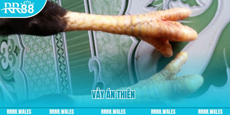 game 88 đăng nhập sòng bạc 2025