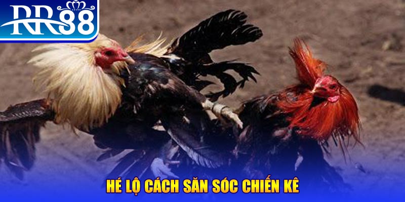 game 88 xổ số miền trung thứ tư