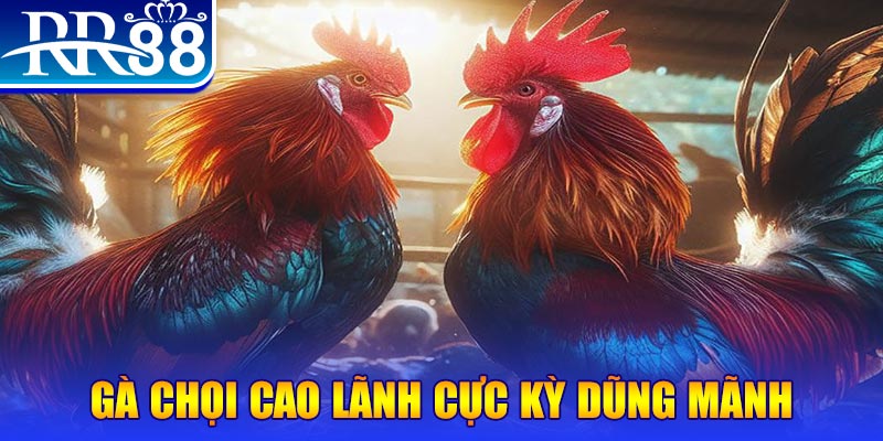 game 88 HB Điện Tử